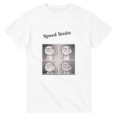 Heavyweight Unisex Crewneck T-shirt